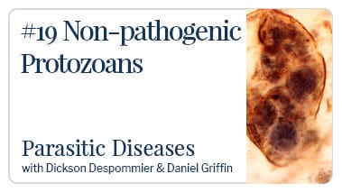 Non-Pathogenic Protozoans
