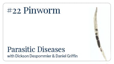 Pinworm