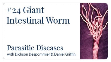 Giant Intestinal Worm