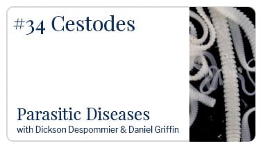 Cestodes