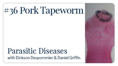 Pork Tapeworm