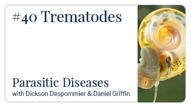 Trematodes