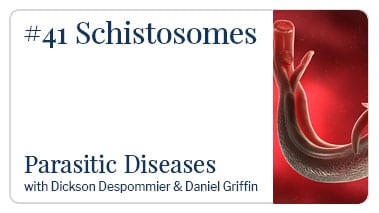 Schistosomes