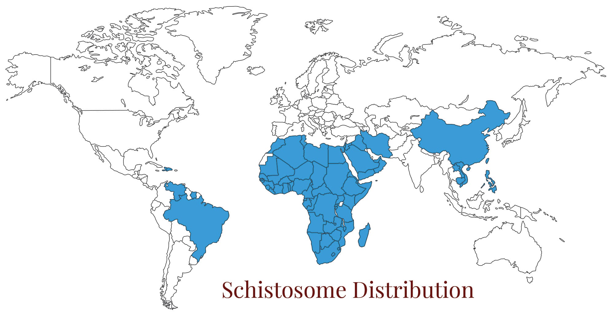 World map schistomiasis
