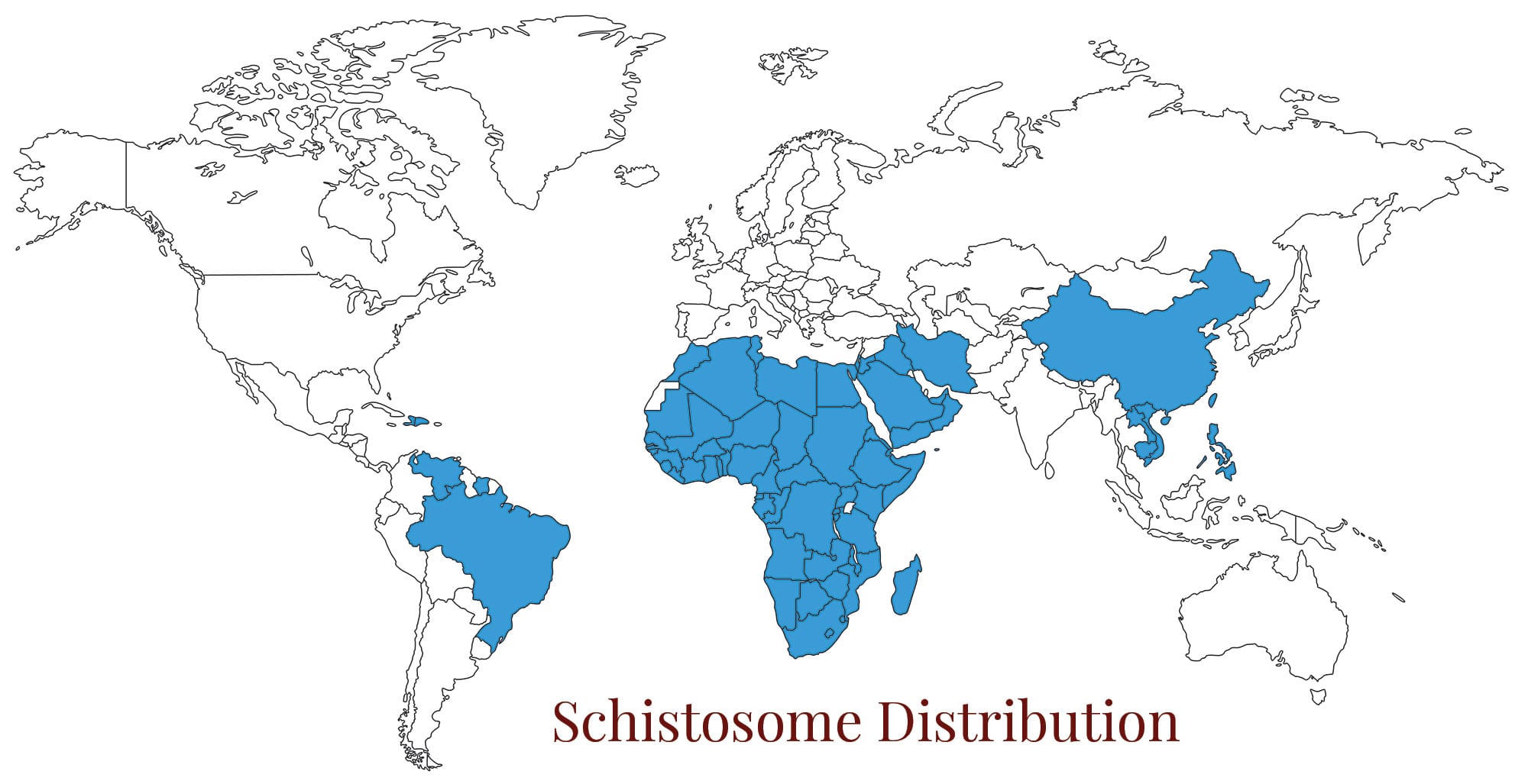 Schistosomiasis Parasites Without Borders Schistosomiasis Parasites Without Borders