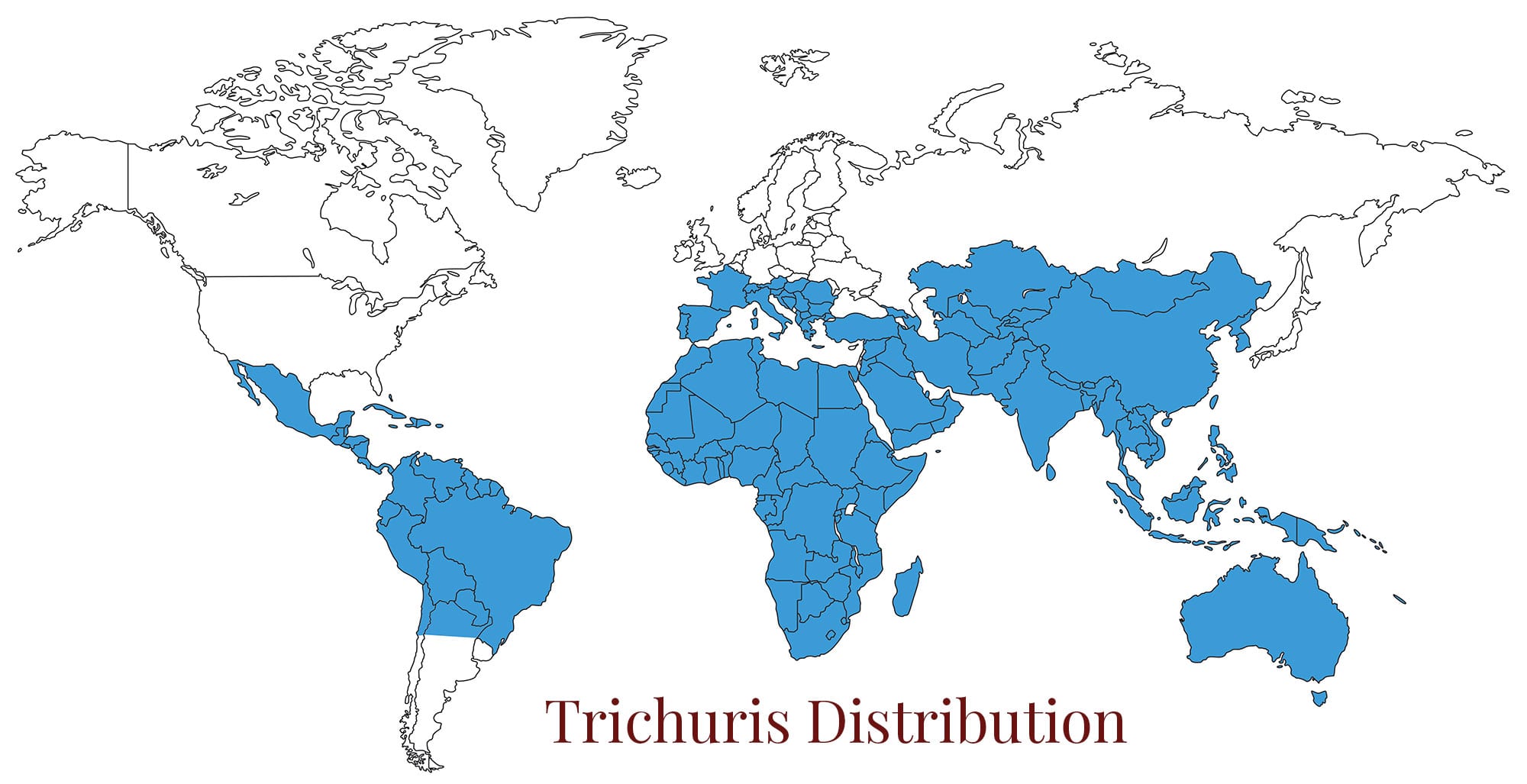 World map trichuriasis