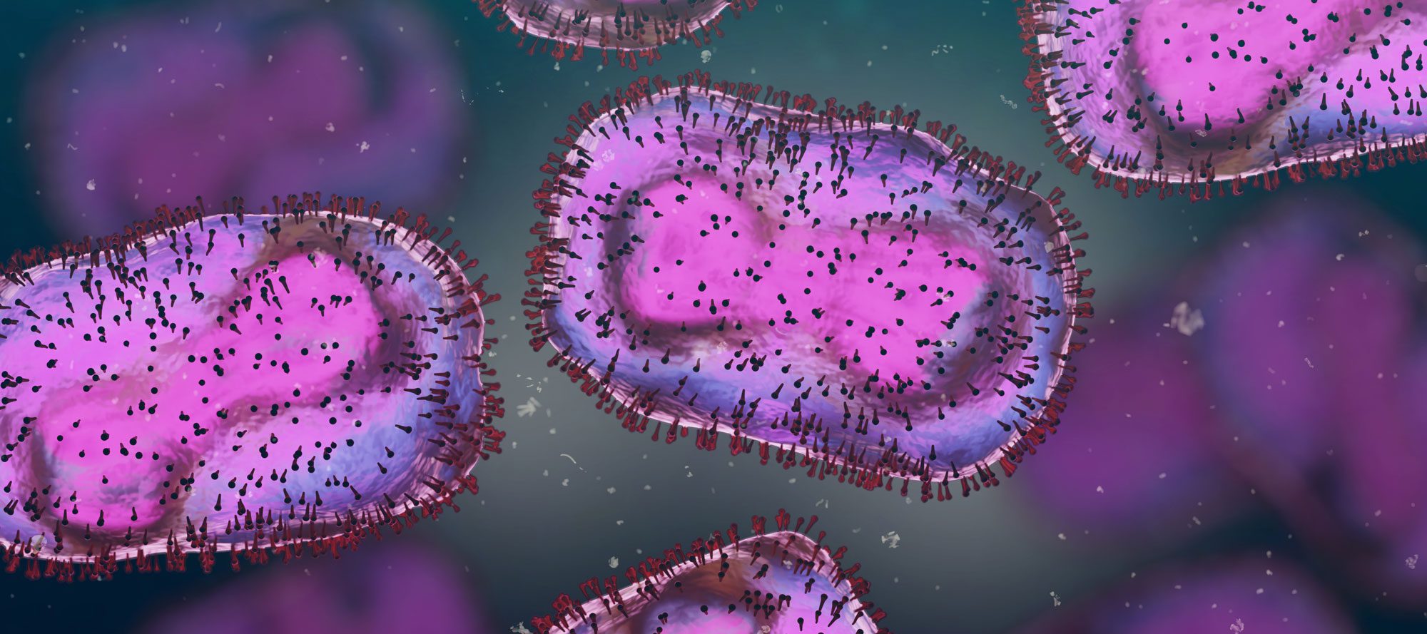Monkey Pox Virus Magnified (simulated)