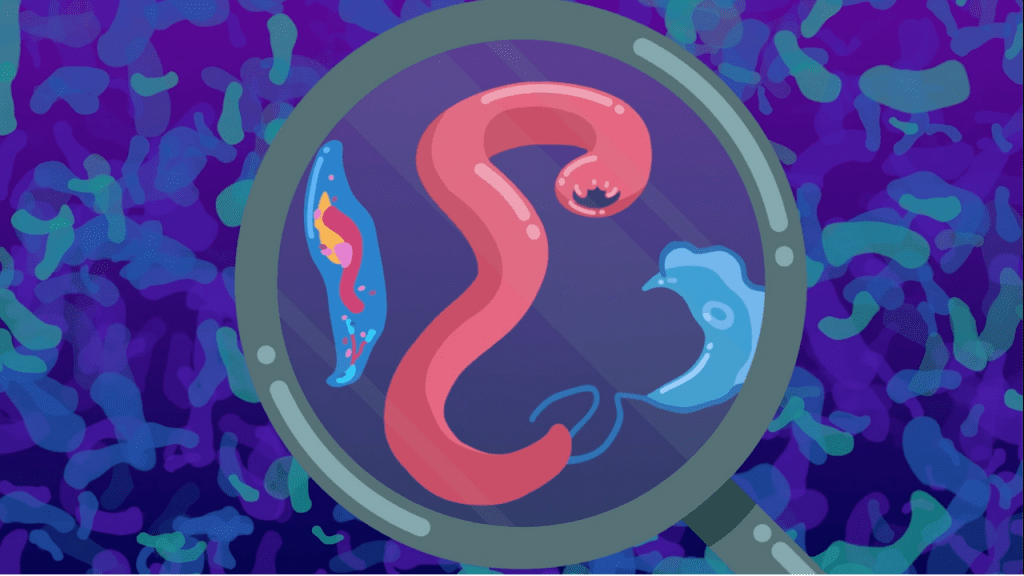 Cartoon snapshot of a petri dish with a parasite on it