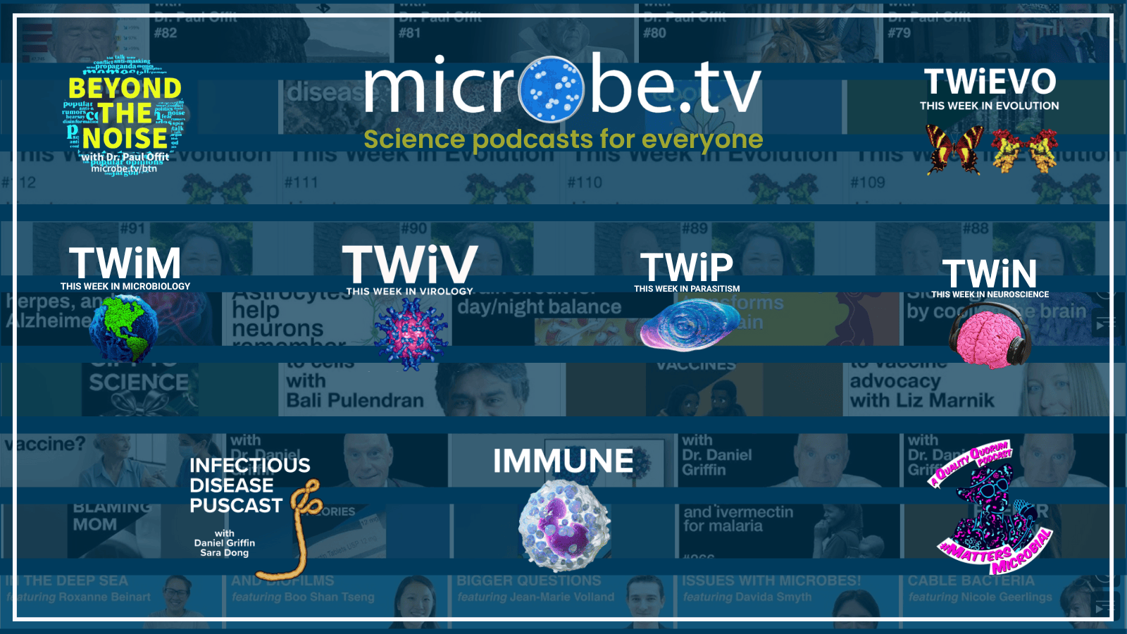 Collage of various Parasites Without Borders logos from different platforms